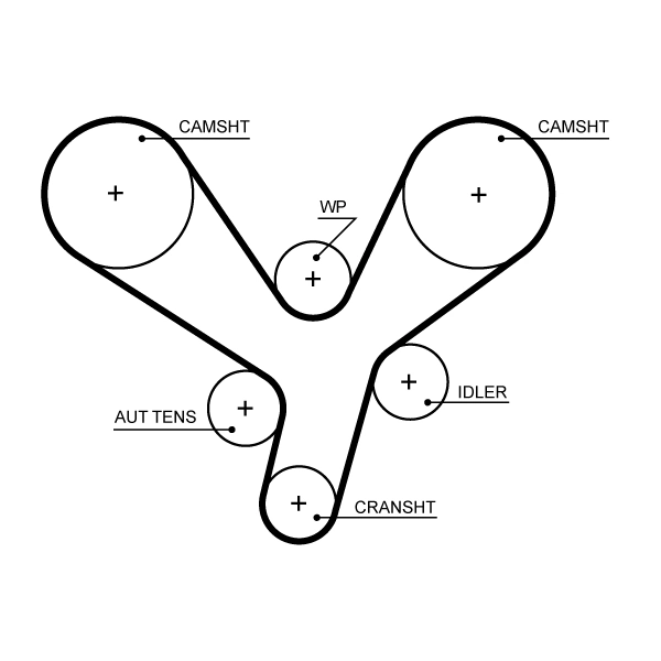 Timing Belt