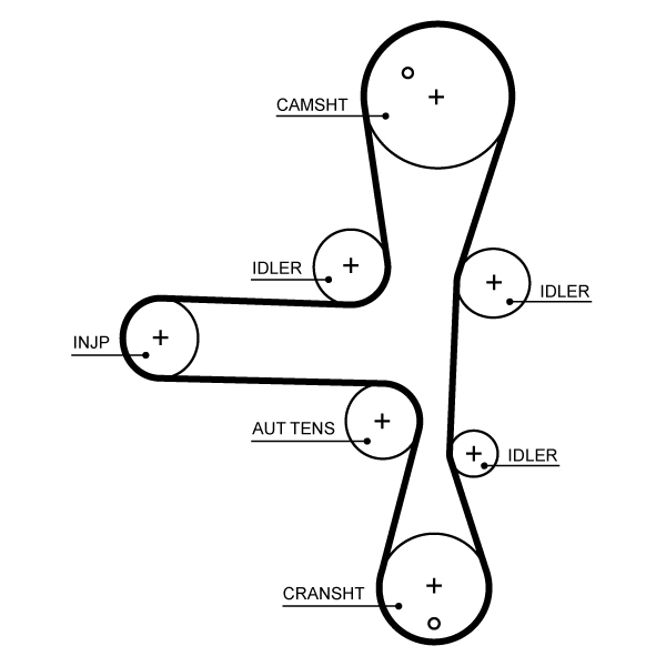 Timing Belt