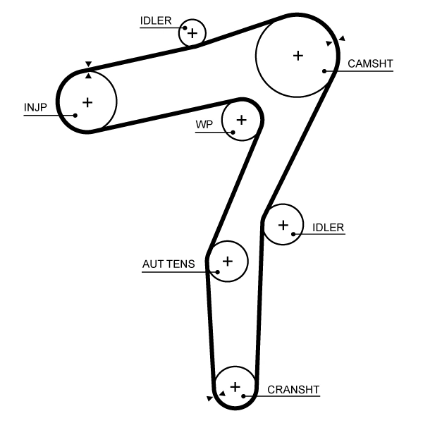 Timing Belt