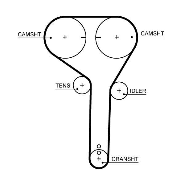 Timing Belt