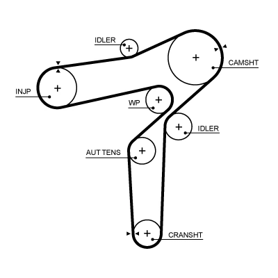 Timing Belt