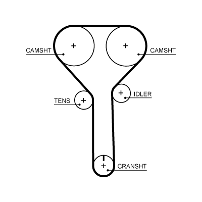 Timing Belt