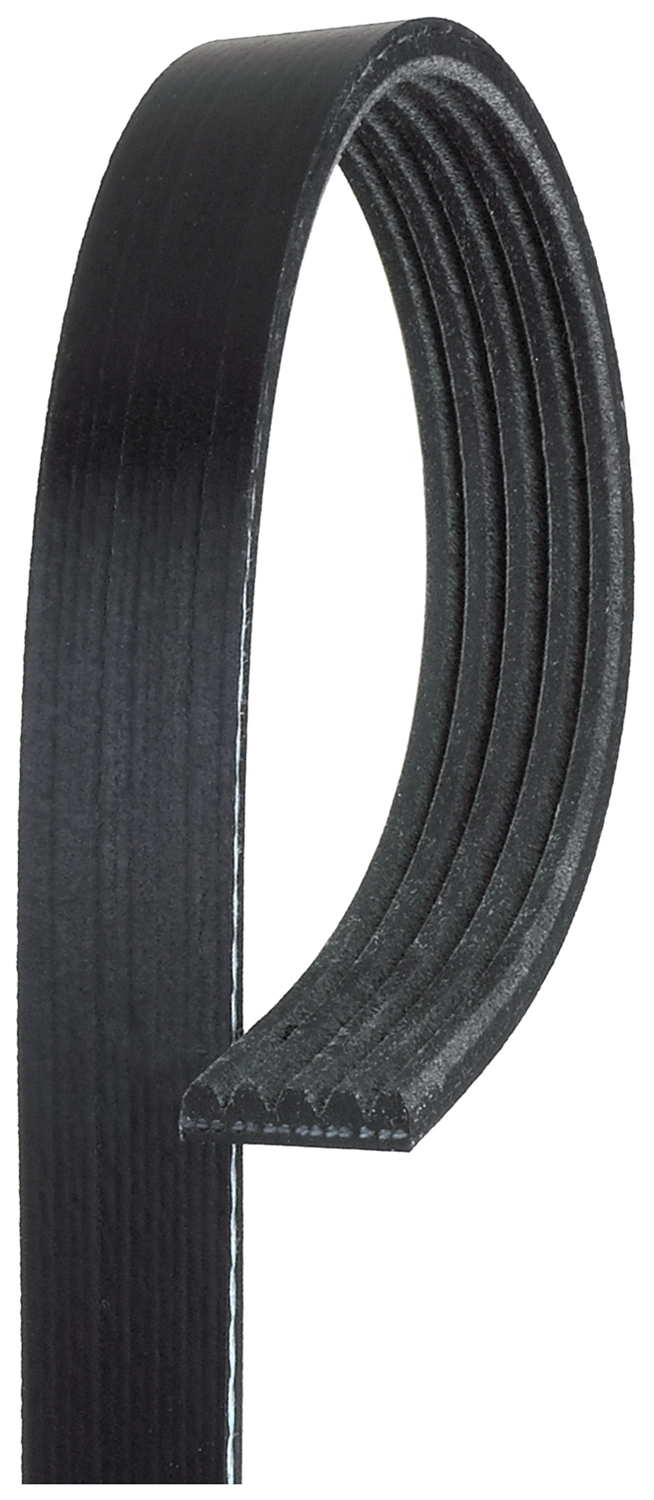 V-ribbed Belt