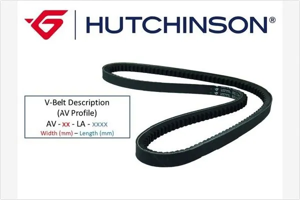 V-belt 2xAVX13x1800