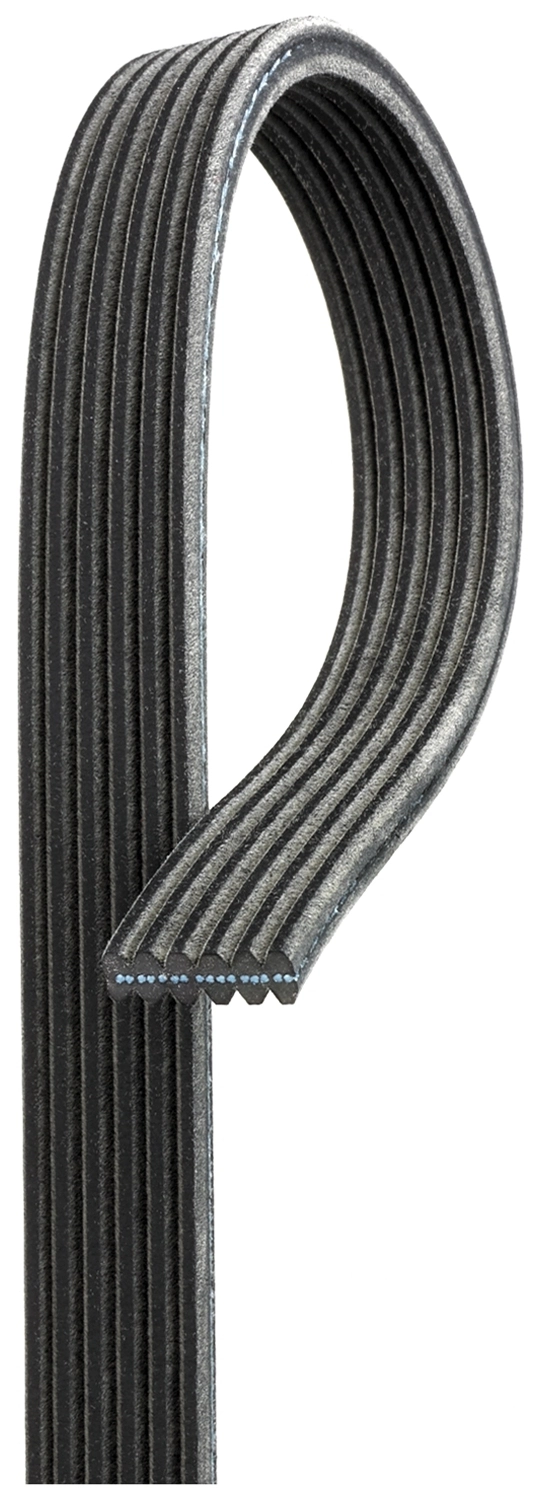 V-ribbed Belt