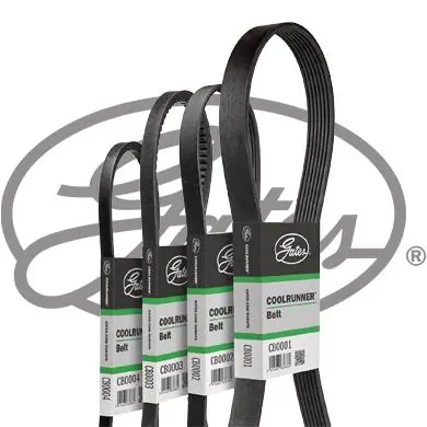 V-Belt