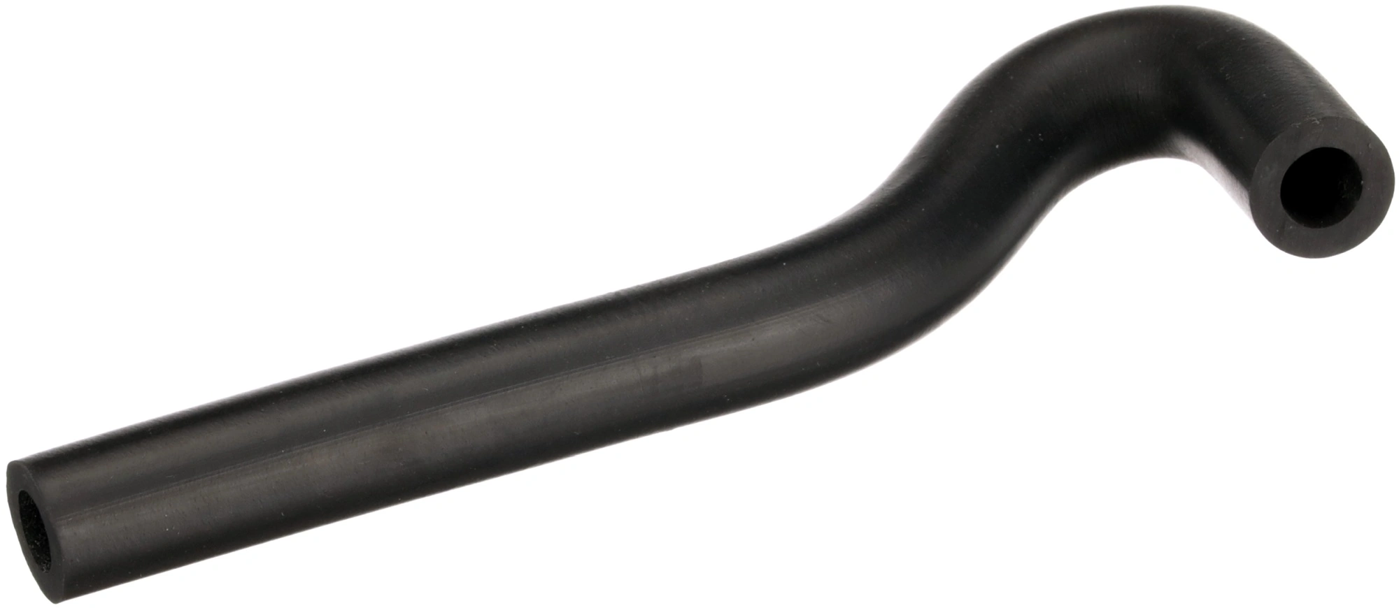 Hose, crankcase ventilation