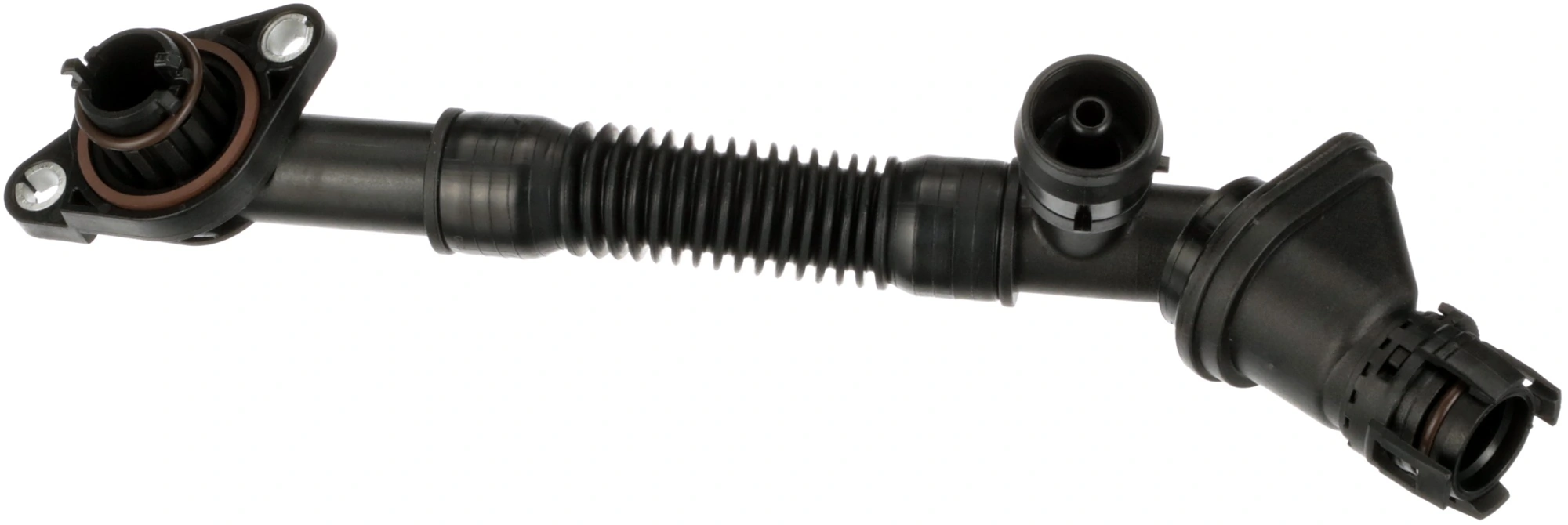 Hose, crankcase ventilation