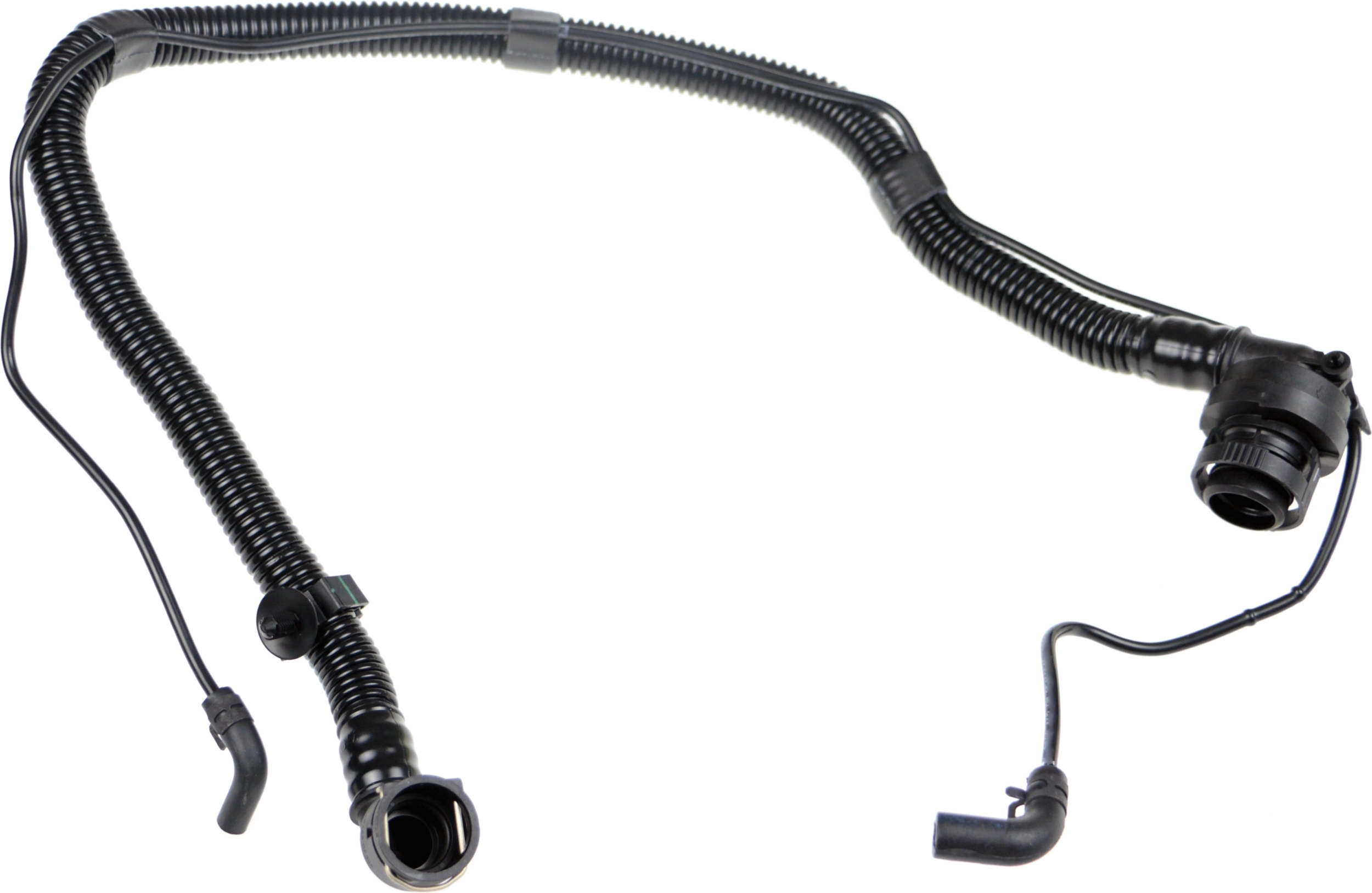 Hose, crankcase ventilation