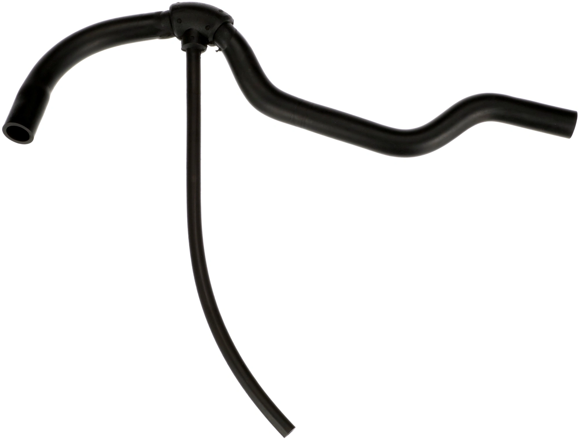 Hose, crankcase ventilation
