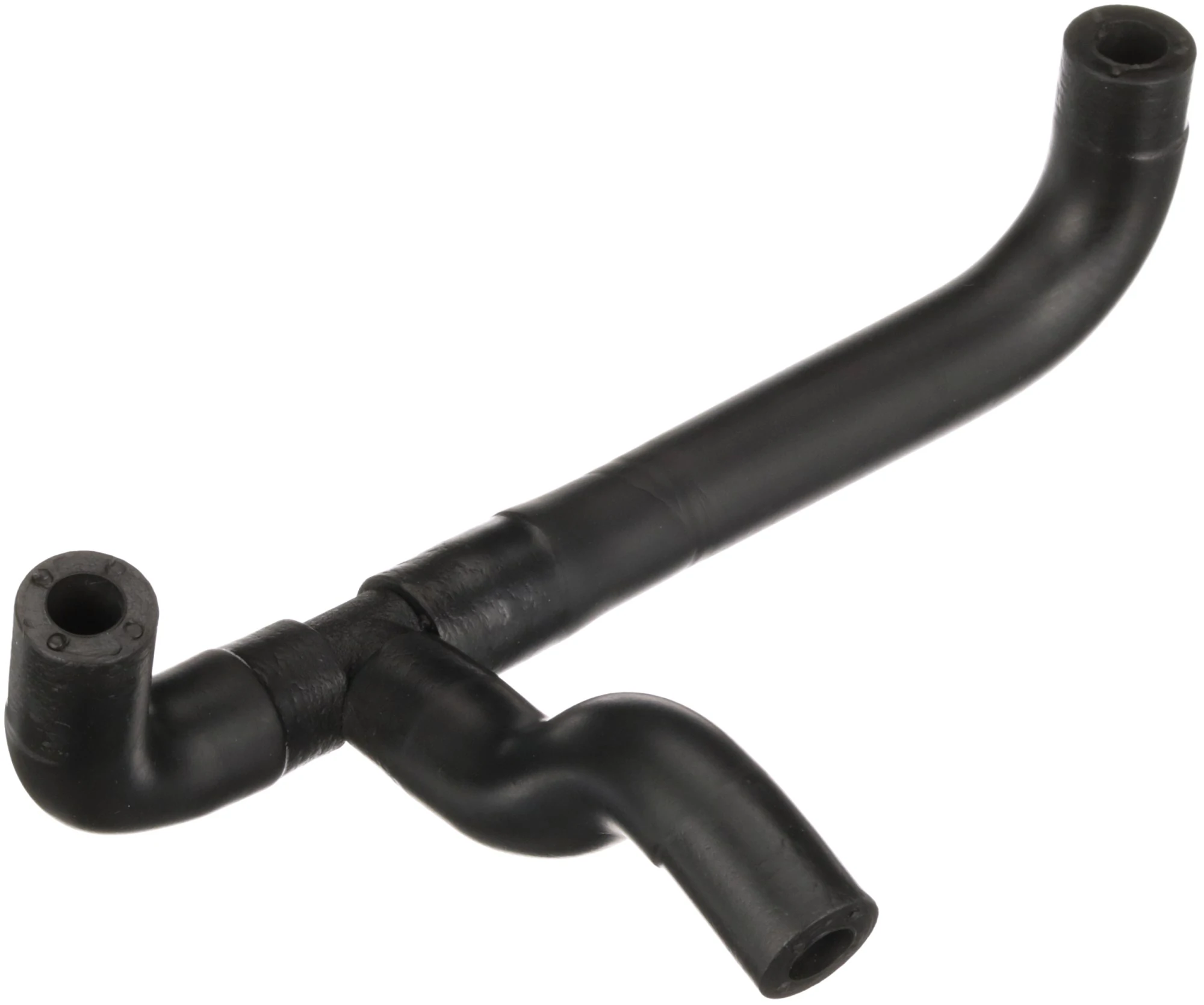 Hose, crankcase ventilation