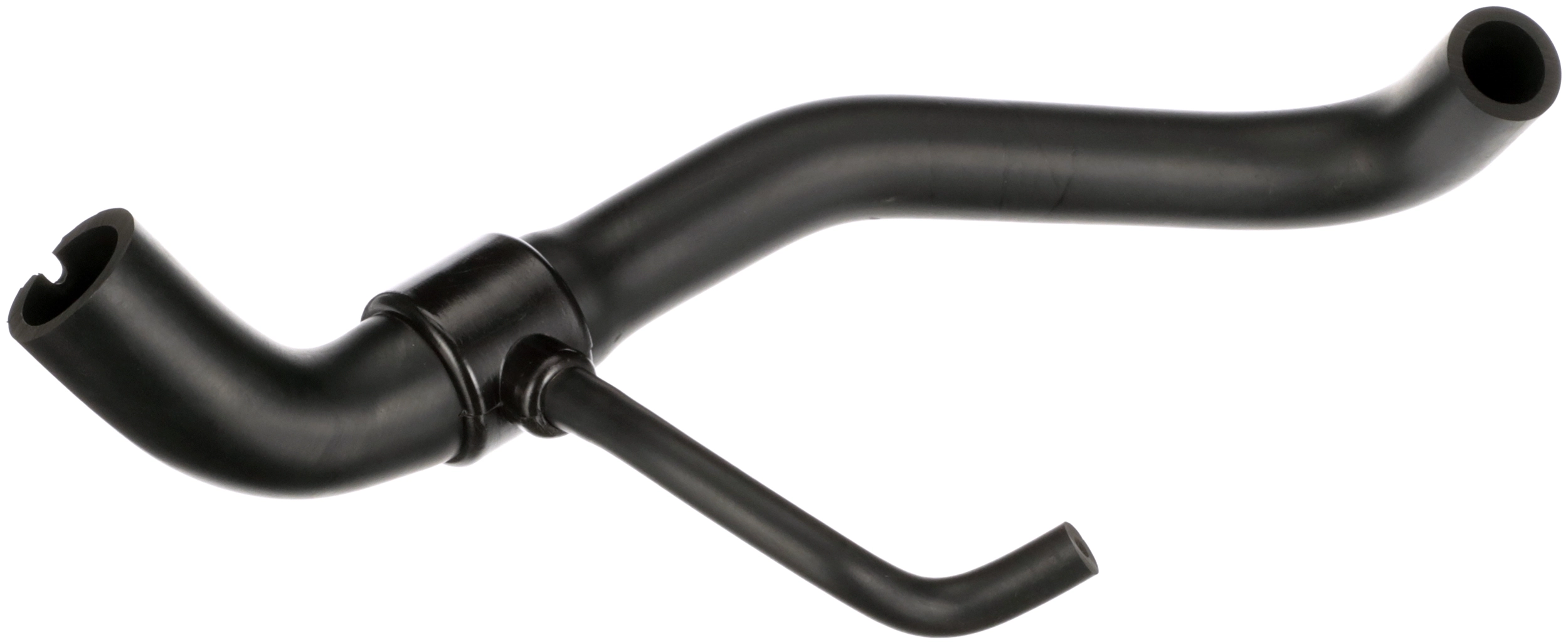 Hose, crankcase ventilation