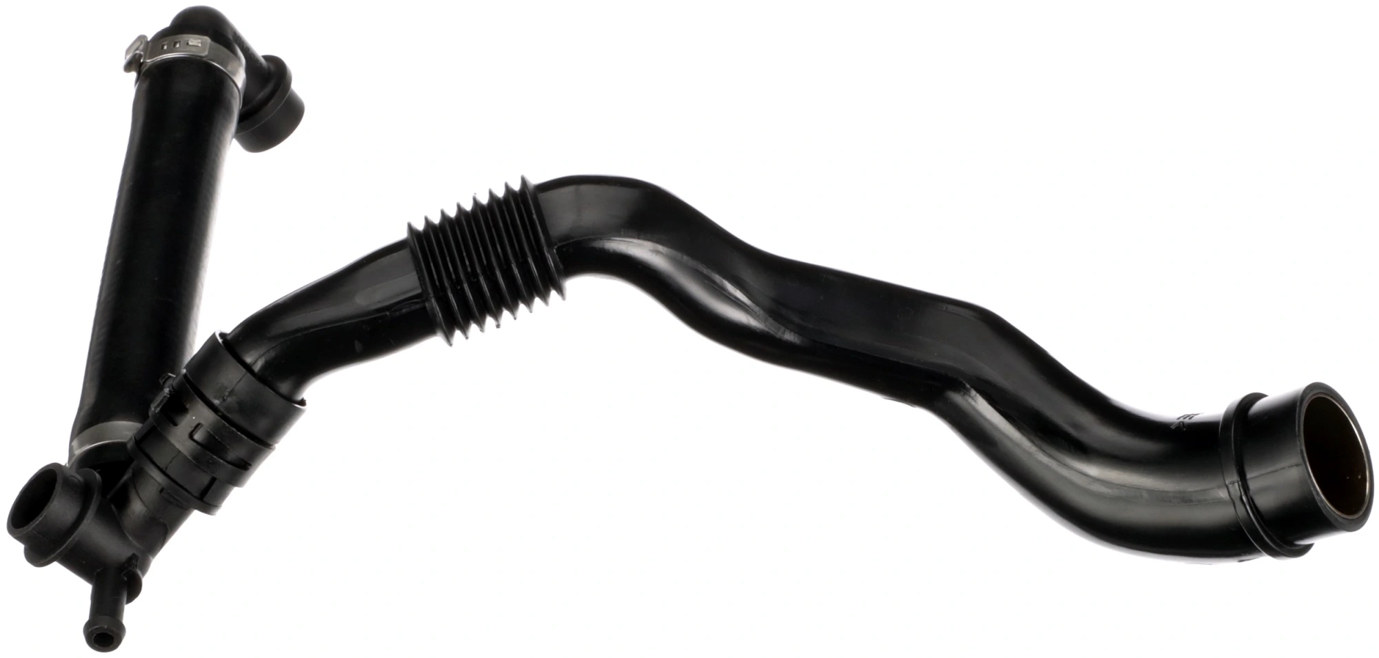 Hose, crankcase ventilation
