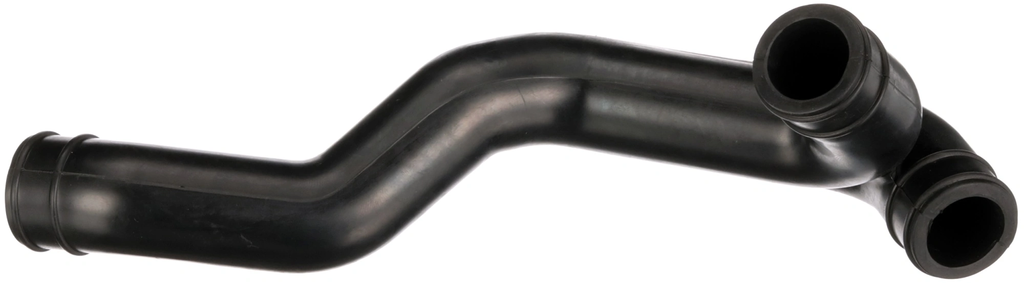 Hose, crankcase ventilation