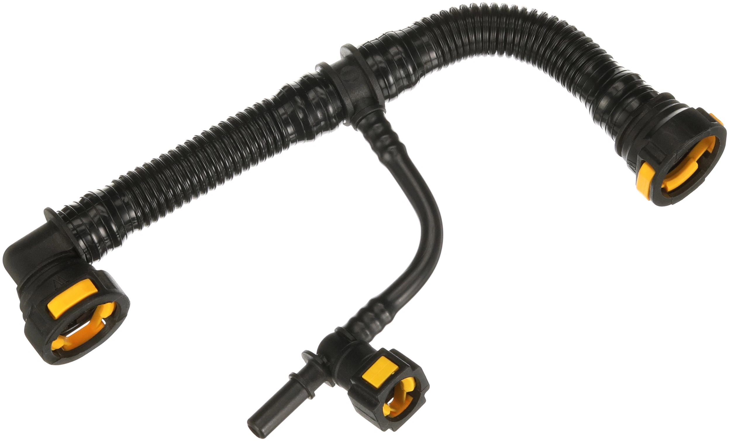 Hose, crankcase ventilation
