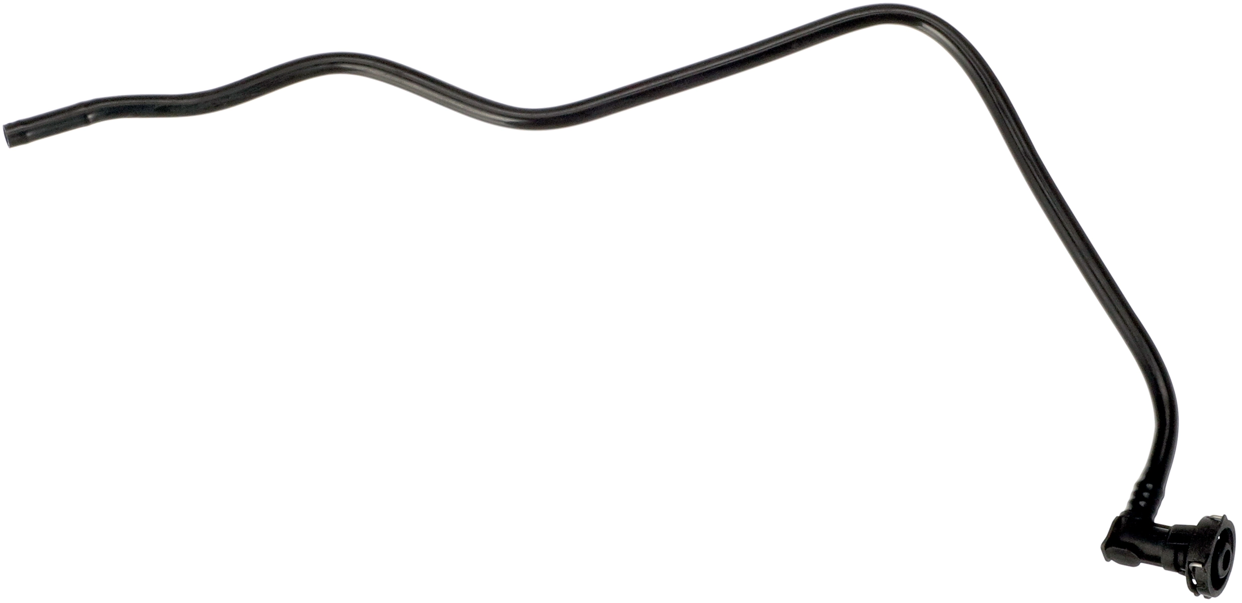 Hose, crankcase ventilation