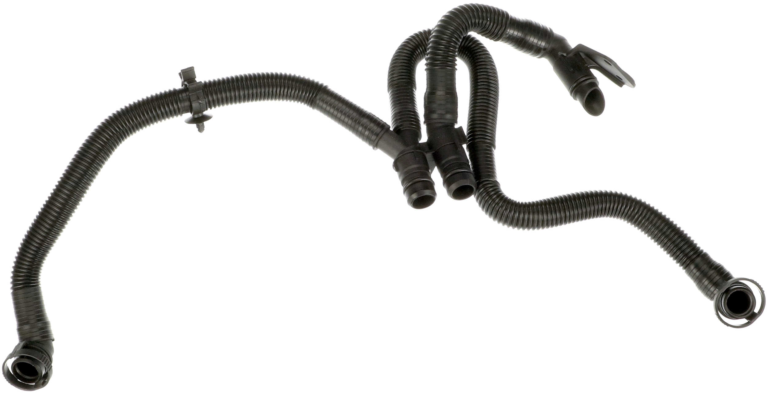 Hose, crankcase ventilation