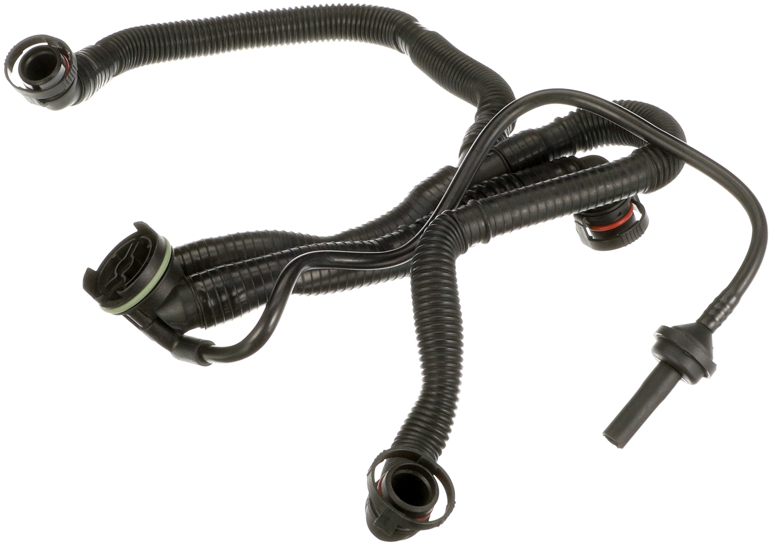 Hose, crankcase ventilation