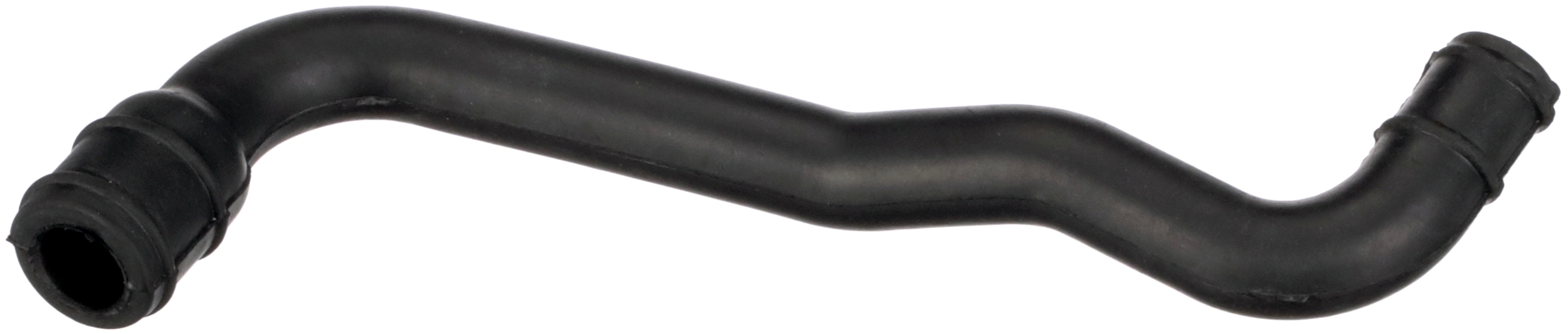 Hose, crankcase ventilation