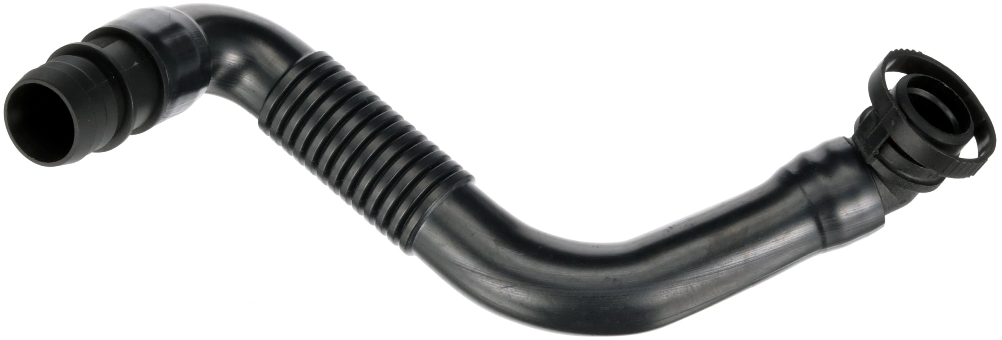 Hose, crankcase ventilation