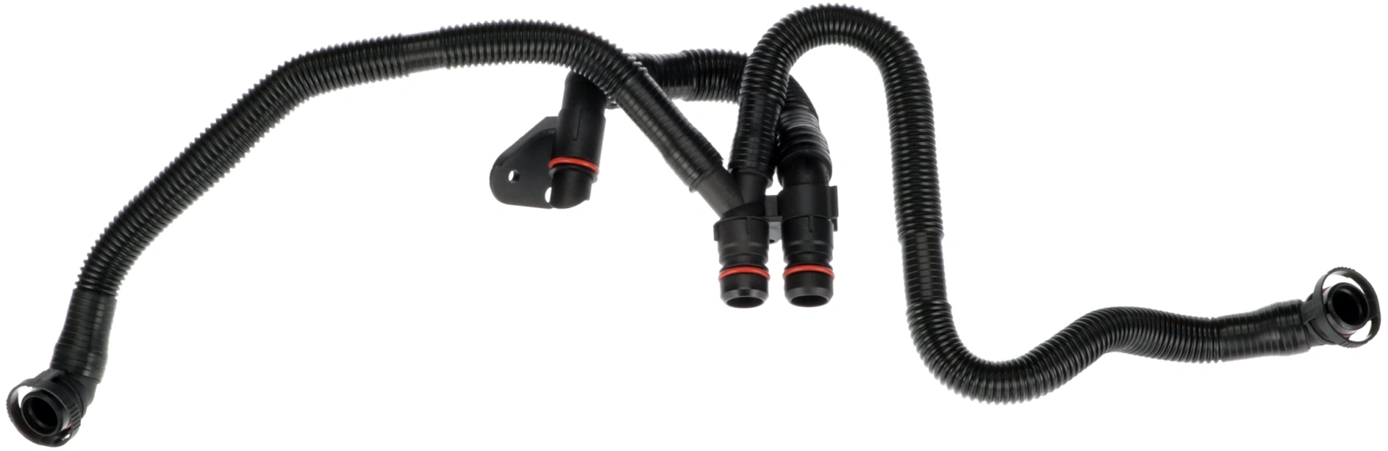 Hose, crankcase ventilation