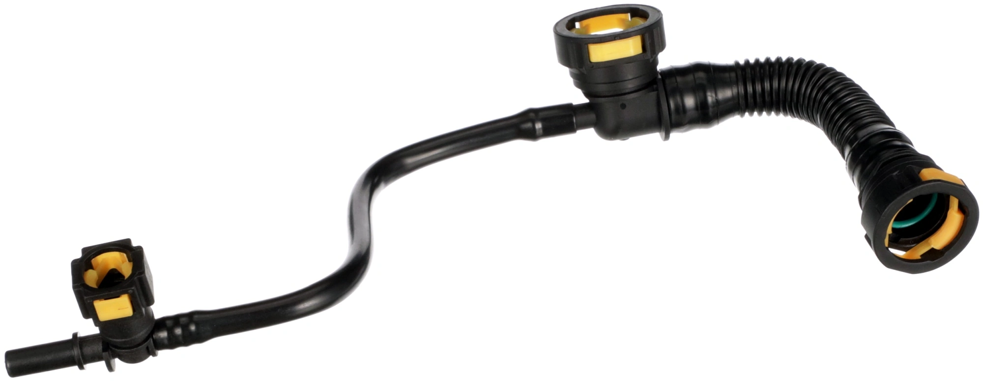 Hose, crankcase ventilation