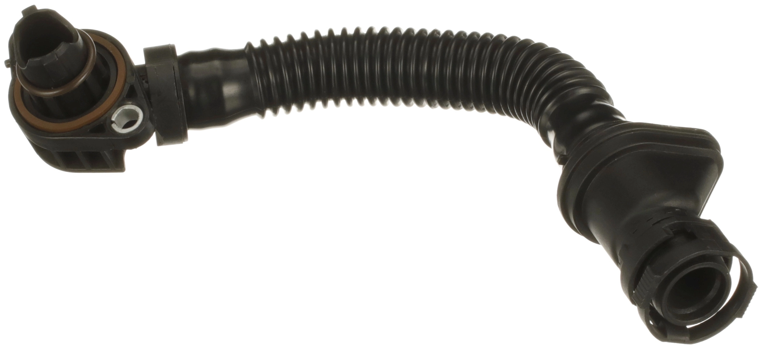 Hose, crankcase ventilation