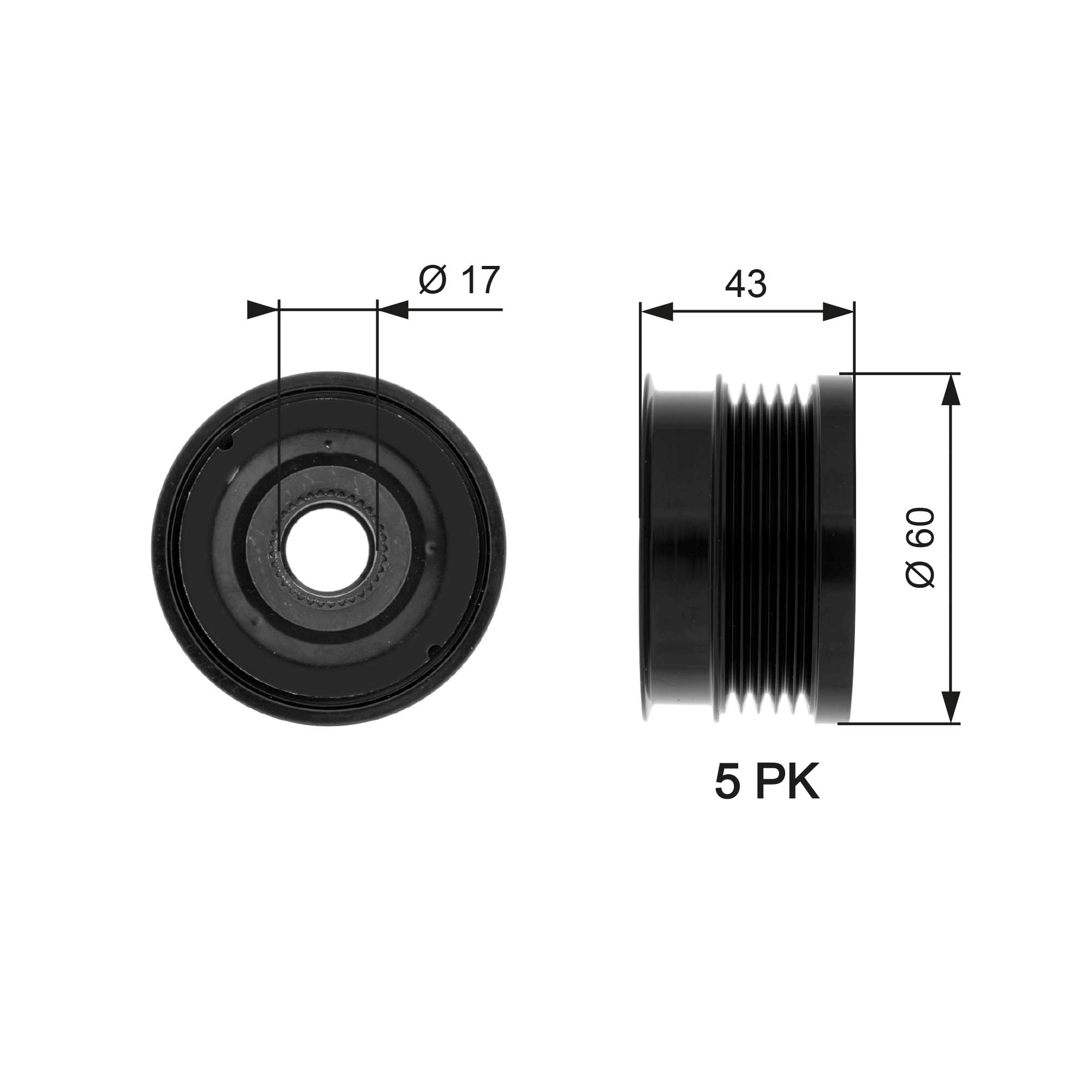 Alternator Freewheel Clutch