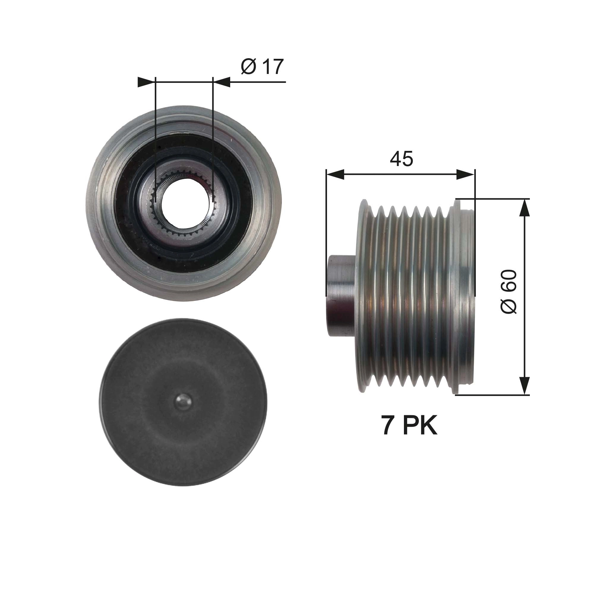 Alternator Freewheel Clutch