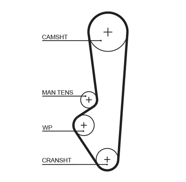 Timing Belt