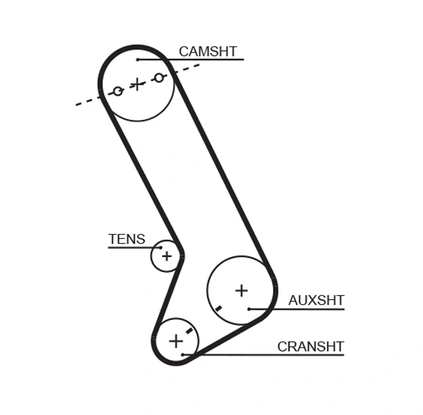 Timing Belt