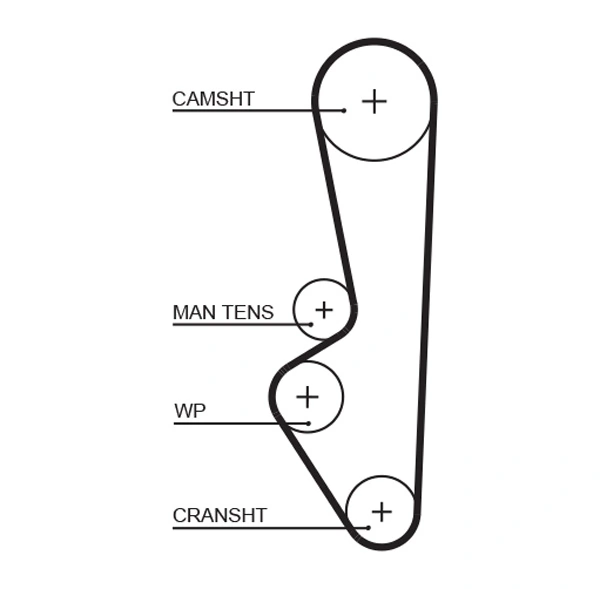 Timing Belt