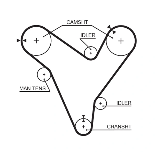 Timing Belt