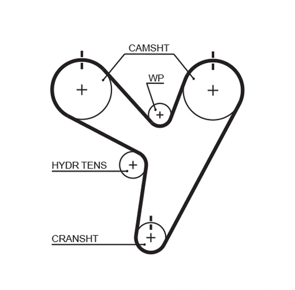 Timing Belt