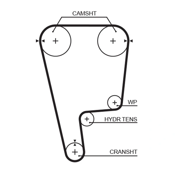 Timing Belt