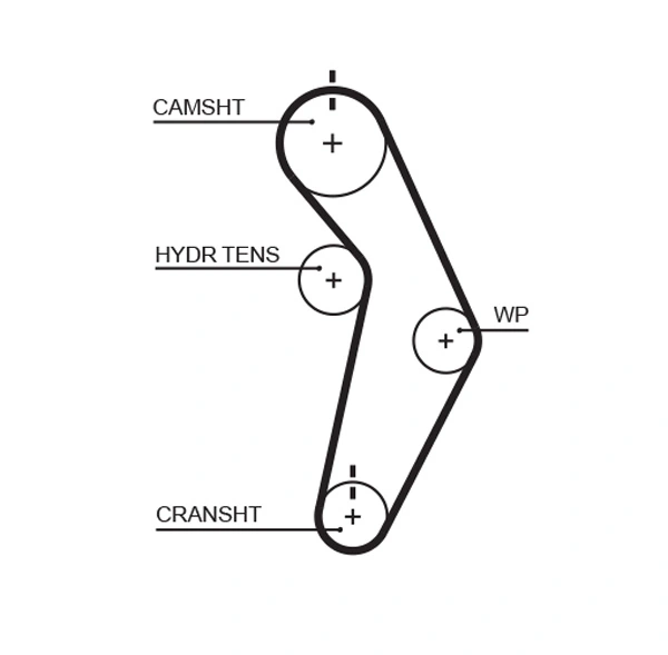 Timing Belt