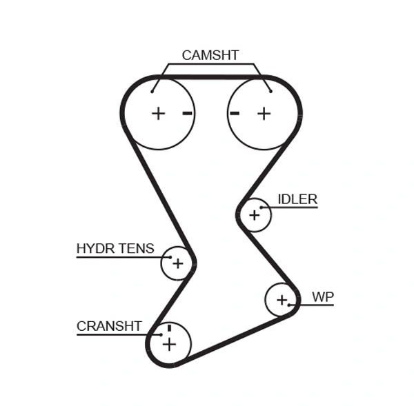 Timing Belt