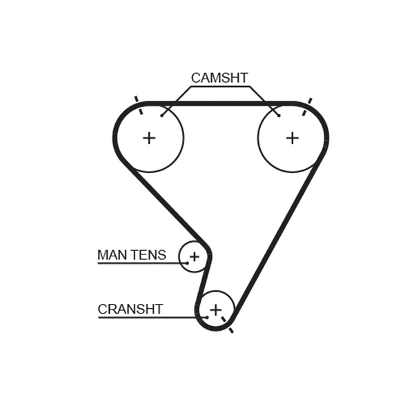 Timing Belt