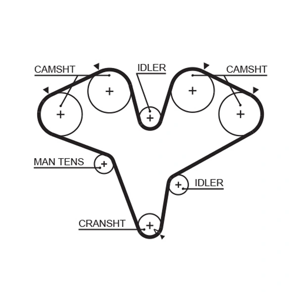 Timing Belt