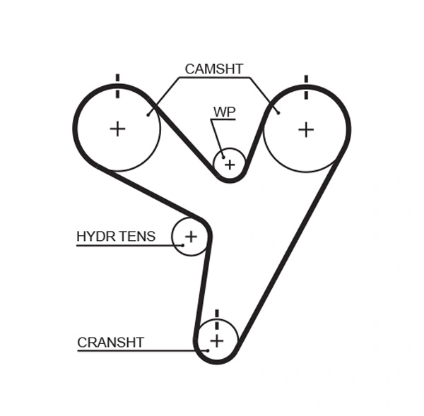 Timing Belt