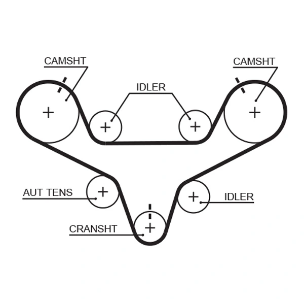 Timing Belt