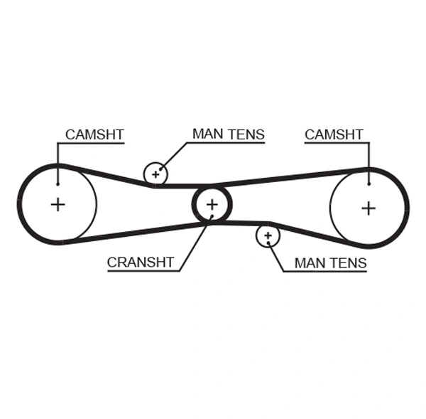 Timing Belt