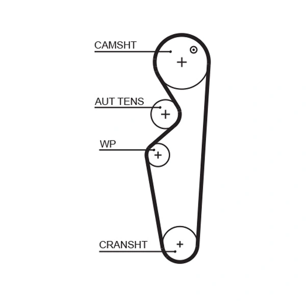 Timing Belt