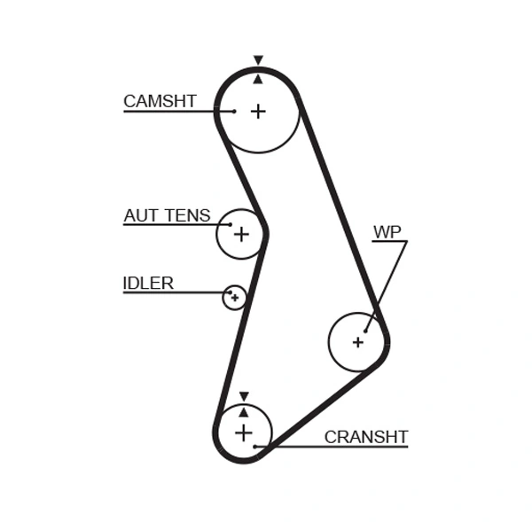 Timing Belt