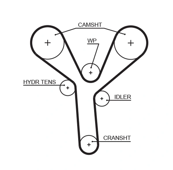 Timing Belt