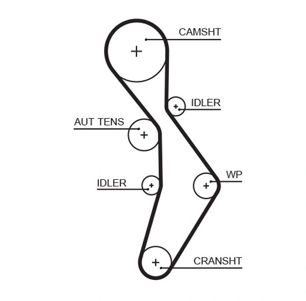 Timing Belt