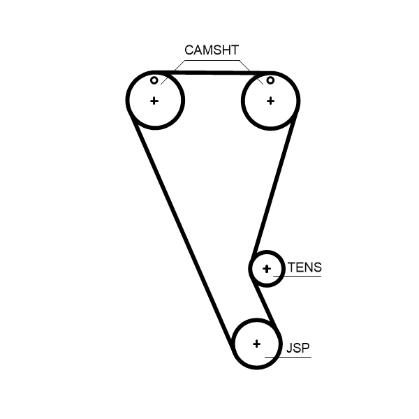 Timing Belt
