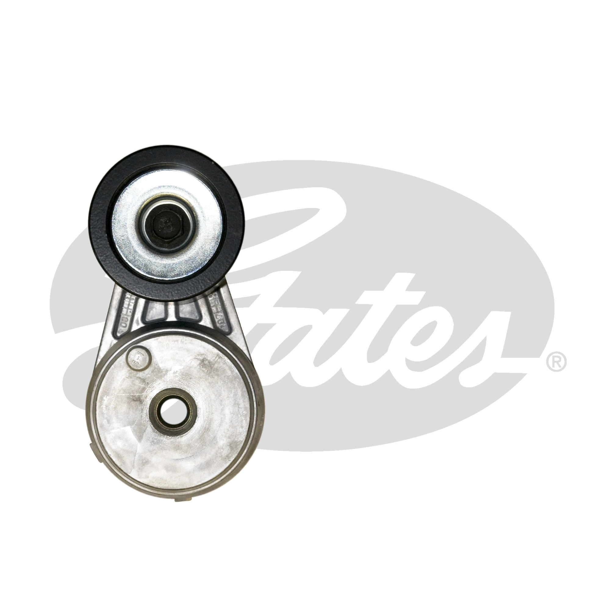 Belt Tensioner, V-ribbed belt