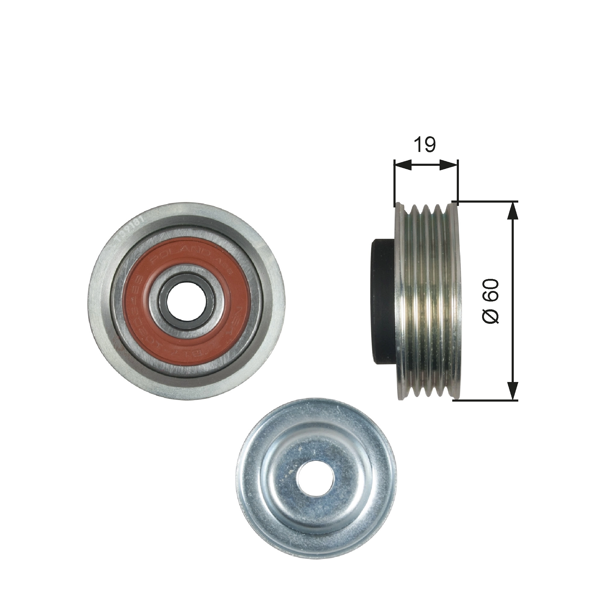 Tensioner Pulley, V-ribbed belt
