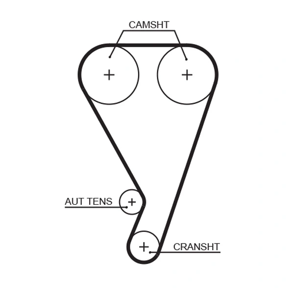 Timing Belt